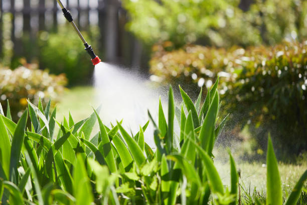 24/7 Emergency Fumigation Services experts in West Pasco, WA